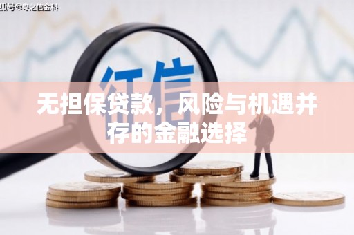 蓬江无担保贷款，风险与机遇并存的金融选择
