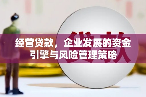 蓬江经营贷款，企业发展的资金引擎与风险管理策略