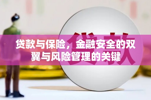 蓬江贷款与保险，金融安全的双翼与风险管理的关键