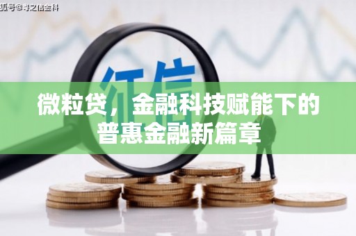 蓬江微粒贷，金融科技赋能下的普惠金融新篇章