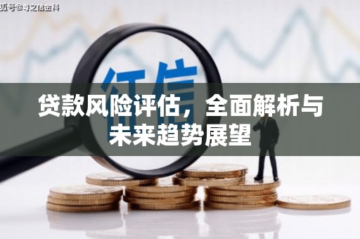 蓬江贷款风险评估，全面解析与未来趋势展望