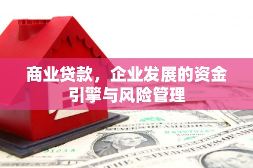 蓬江商业贷款，企业发展的资金引擎与风险管理