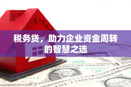 蓬江税务贷，助力企业资金周转的智慧之选