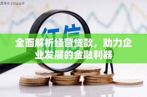 蓬江全面解析经营贷款，助力企业发展的金融利器