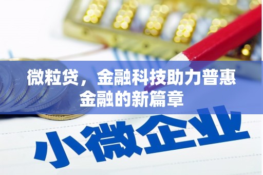蓬江微粒贷，金融科技助力普惠金融的新篇章
