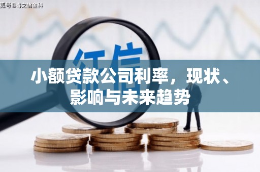 蓬江小额贷款公司利率，现状、影响与未来趋势