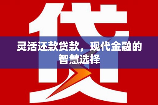 蓬江灵活还款贷款，现代金融的智慧选择