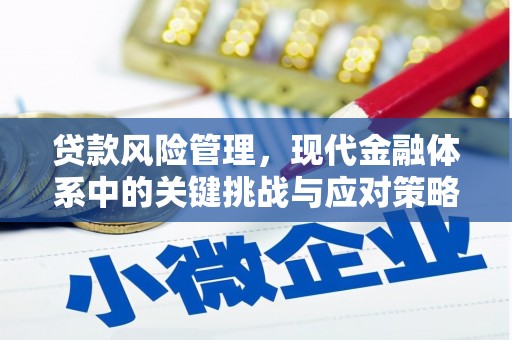 蓬江贷款风险管理，现代金融体系中的关键挑战与应对策略