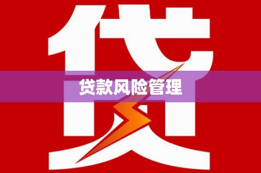 蓬江贷款风险管理