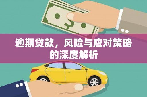 蓬江逾期贷款，风险与应对策略的深度解析