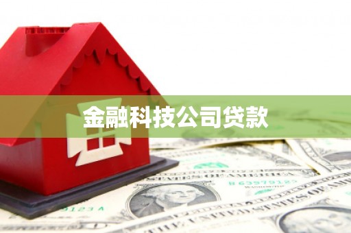 蓬江金融科技公司贷款