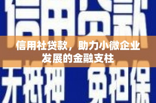 蓬江信用社贷款，助力小微企业发展的金融支柱