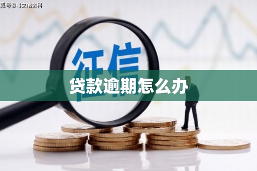 蓬江贷款逾期怎么办