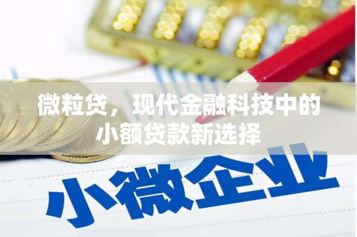 蓬江微粒贷，现代金融科技中的小额贷款新选择