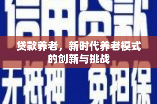 蓬江贷款养老，新时代养老模式的创新与挑战