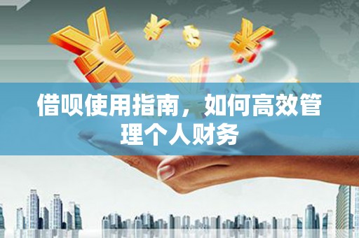 蓬江借呗使用指南，如何高效管理个人财务