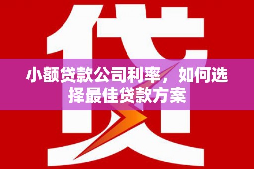 蓬江小额贷款公司利率，如何选择最佳贷款方案