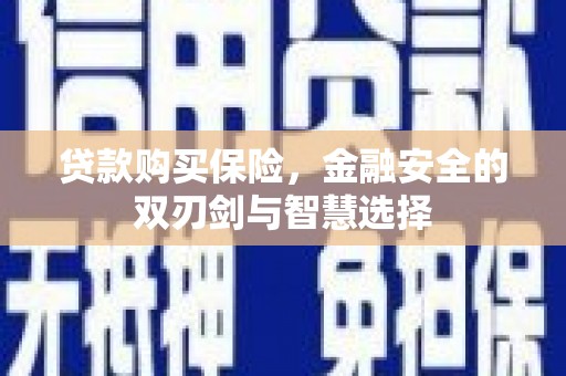 蓬江贷款购买保险，金融安全的双刃剑与智慧选择