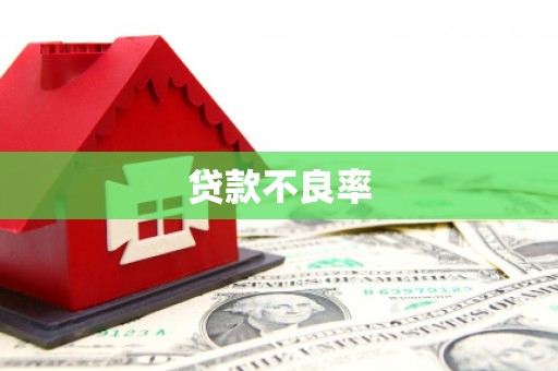 蓬江贷款不良率