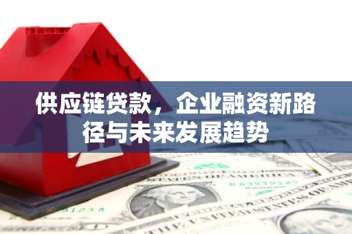 蓬江供应链贷款，企业融资新路径与未来发展趋势