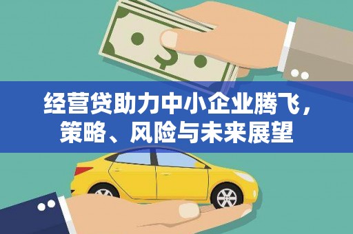 蓬江经营贷助力中小企业腾飞，策略、风险与未来展望