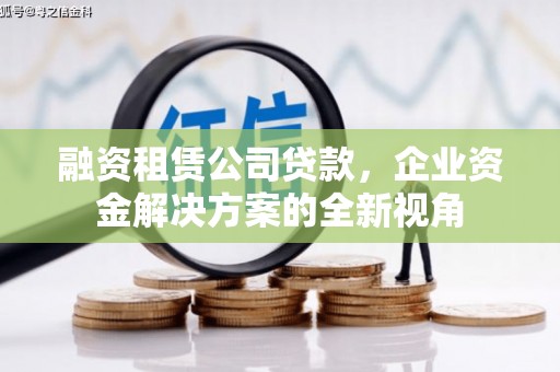 蓬江融资租赁公司贷款，企业资金解决方案的全新视角