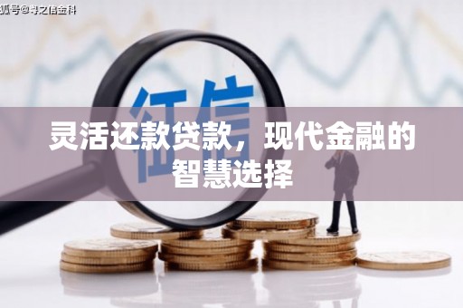 蓬江灵活还款贷款，现代金融的智慧选择