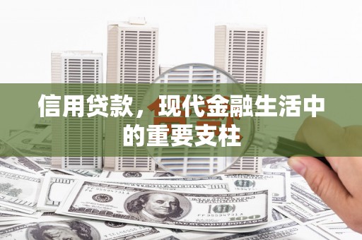 蓬江信用贷款，现代金融生活中的重要支柱