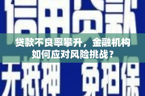 蓬江贷款不良率攀升，金融机构如何应对风险挑战？