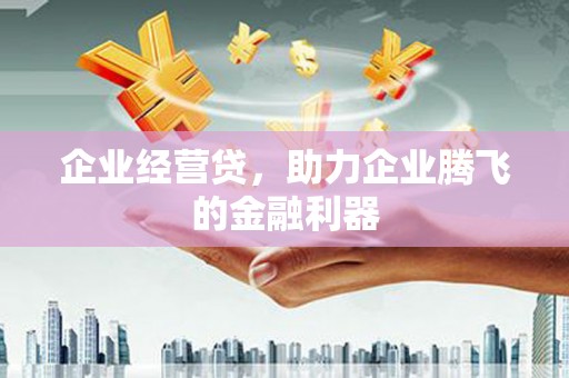 蓬江企业经营贷，助力企业腾飞的金融利器