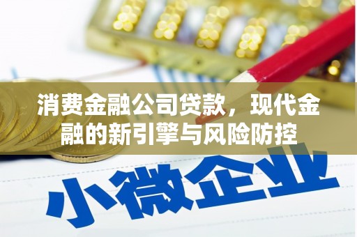 蓬江消费金融公司贷款，现代金融的新引擎与风险防控
