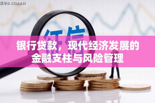蓬江银行贷款，现代经济发展的金融支柱与风险管理