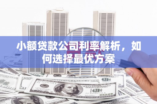 蓬江小额贷款公司利率解析，如何选择最优方案