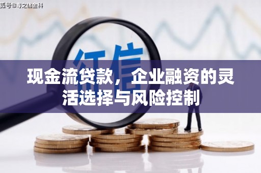 蓬江现金流贷款，企业融资的灵活选择与风险控制