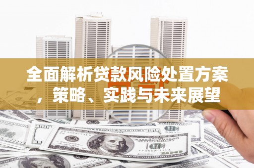 蓬江全面解析贷款风险处置方案，策略、实践与未来展望