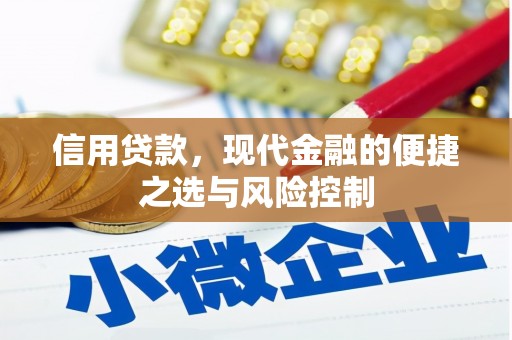 蓬江信用贷款，现代金融的便捷之选与风险控制