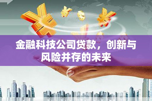 蓬江金融科技公司贷款，创新与风险并存的未来