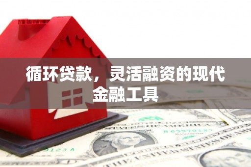 蓬江循环贷款，灵活融资的现代金融工具