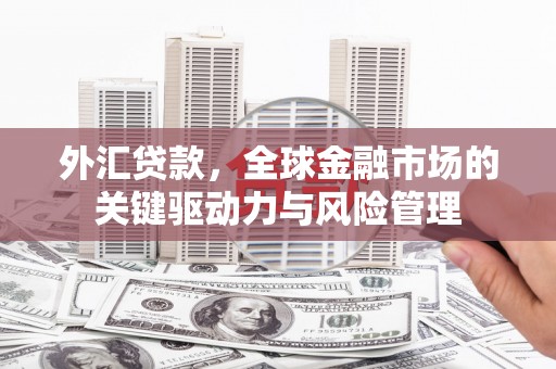 蓬江外汇贷款，全球金融市场的关键驱动力与风险管理