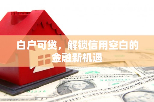 蓬江白户可贷，解锁信用空白的金融新机遇