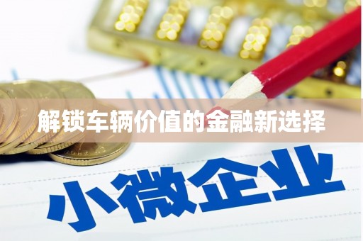 蓬江解锁车辆价值的金融新选择