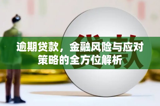 蓬江逾期贷款，金融风险与应对策略的全方位解析