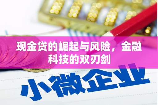 蓬江现金贷的崛起与风险，金融科技的双刃剑