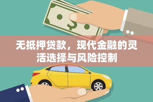 蓬江无抵押贷款，现代金融的灵活选择与风险控制