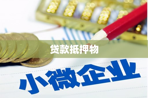蓬江贷款抵押物
