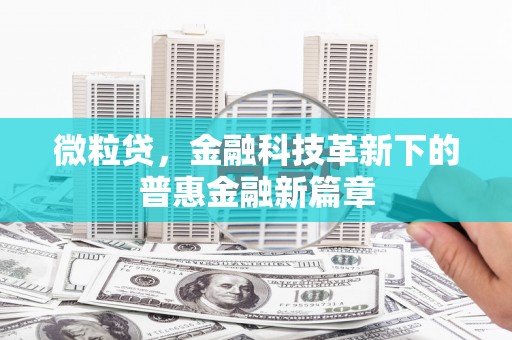 蓬江微粒贷，金融科技革新下的普惠金融新篇章