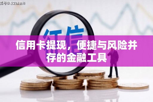 蓬江信用卡提现，便捷与风险并存的金融工具