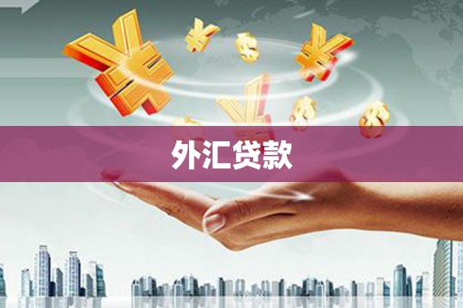 蓬江外汇贷款