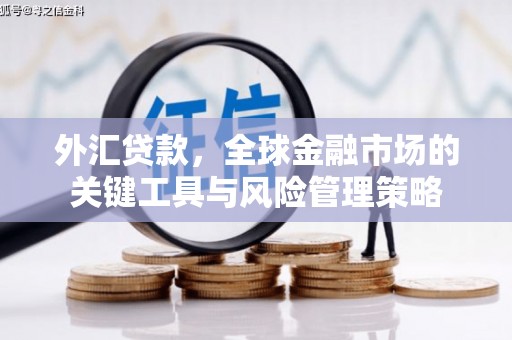 蓬江外汇贷款，全球金融市场的关键工具与风险管理策略