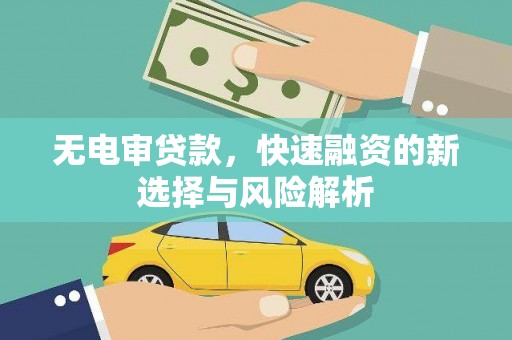 蓬江无电审贷款，快速融资的新选择与风险解析